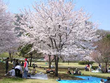 柳沢の池公園