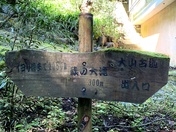 大山古道～禊の大滝への案内板