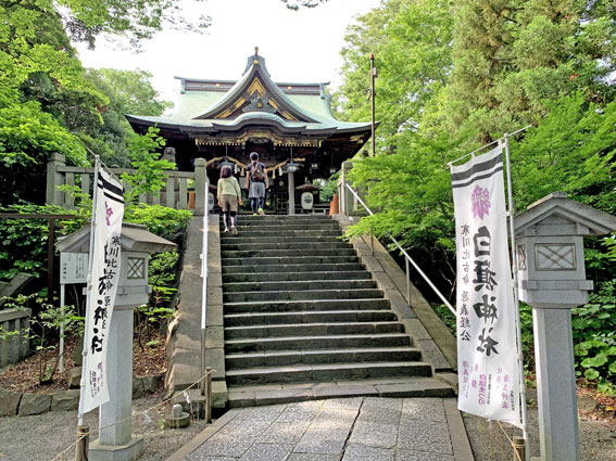 相州藤沢 白旗神社