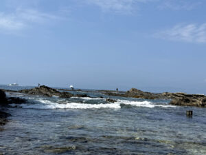 鯛の浦祓山遊歩道